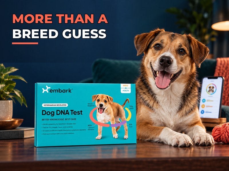 Embark Breed + Health Dog DNA Test